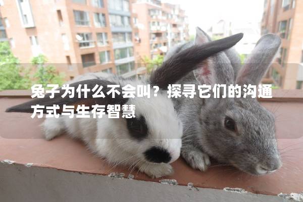 兔子为什么不会叫？探寻它们的沟通方式与生存智慧