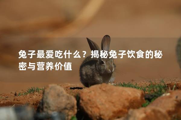 兔子最爱吃什么？揭秘兔子饮食的秘密与营养价值