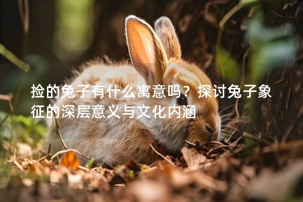捡的兔子有什么寓意吗？探讨兔子象征的深层意义与文化内涵