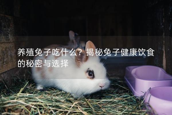 养殖兔子吃什么？揭秘兔子健康饮食的秘密与选择