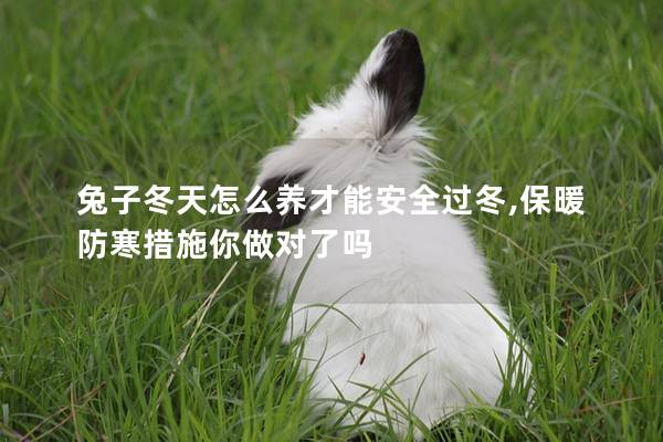 兔子冬天怎么养才能安全过冬,保暖防寒措施你做对了吗