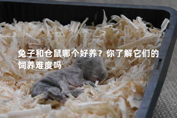 兔子和仓鼠哪个好养？你了解它们的饲养难度吗