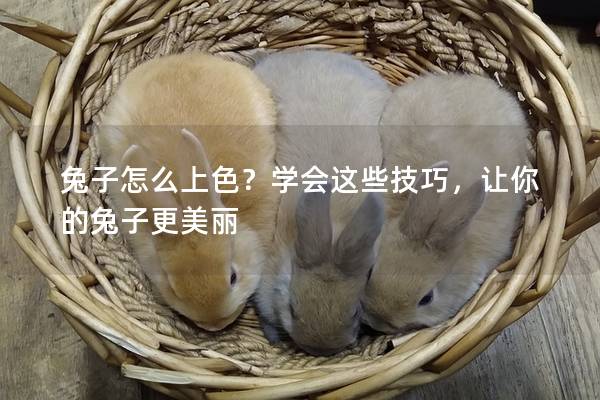 兔子怎么上色？学会这些技巧，让你的兔子更美丽