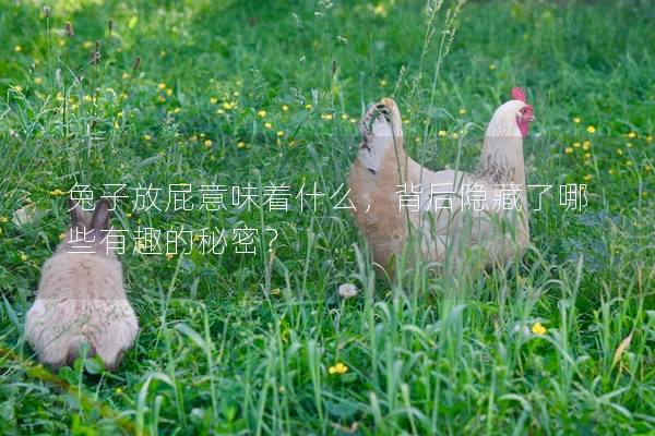 兔子放屁意味着什么，背后隐藏了哪些有趣的秘密？