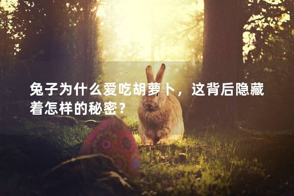 兔子为什么爱吃胡萝卜，这背后隐藏着怎样的秘密？