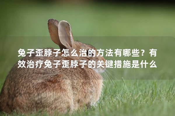 兔子歪脖子怎么治的方法有哪些？有效治疗兔子歪脖子的关键措施是什么