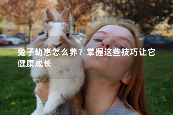 兔子幼崽怎么养？掌握这些技巧让它健康成长