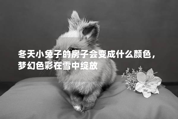 冬天小兔子的房子会变成什么颜色，梦幻色彩在雪中绽放