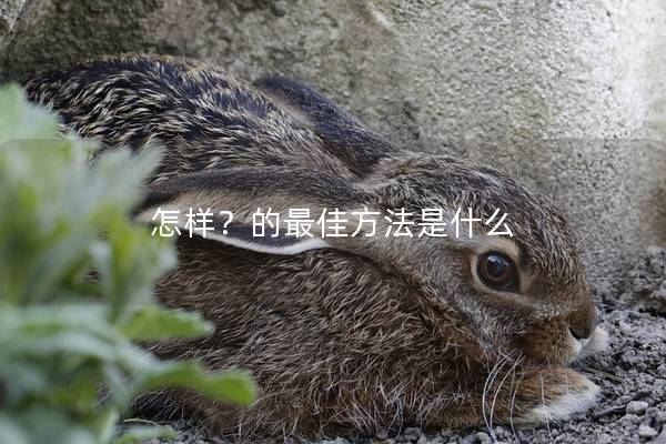 怎样？的最佳方法是什么