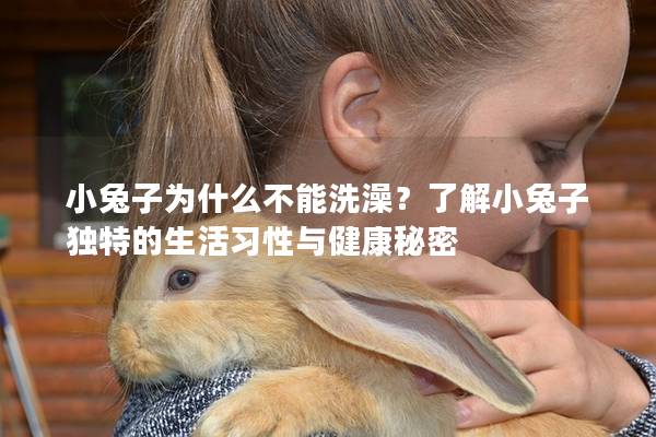 小兔子为什么不能洗澡？了解小兔子独特的生活习性与健康秘密