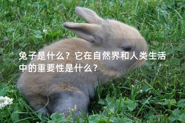 兔子是什么？它在自然界和人类生活中的重要性是什么？