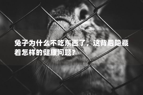 兔子为什么不吃东西了，这背后隐藏着怎样的健康问题？