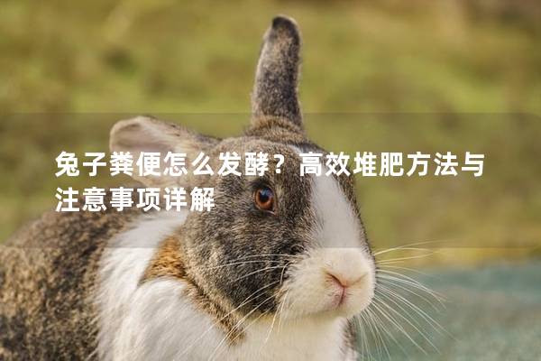 兔子粪便怎么发酵？高效堆肥方法与注意事项详解