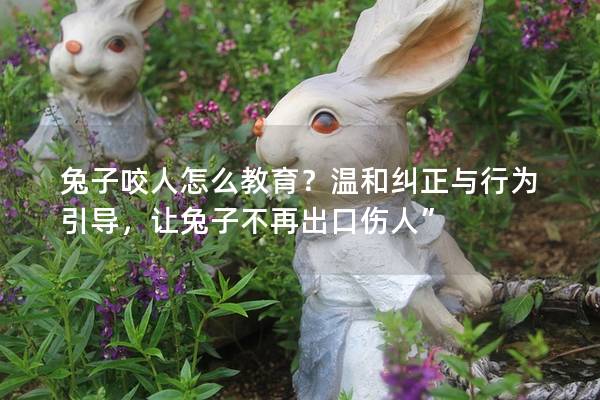兔子咬人怎么教育？温和纠正与行为引导，让兔子不再出口伤人”