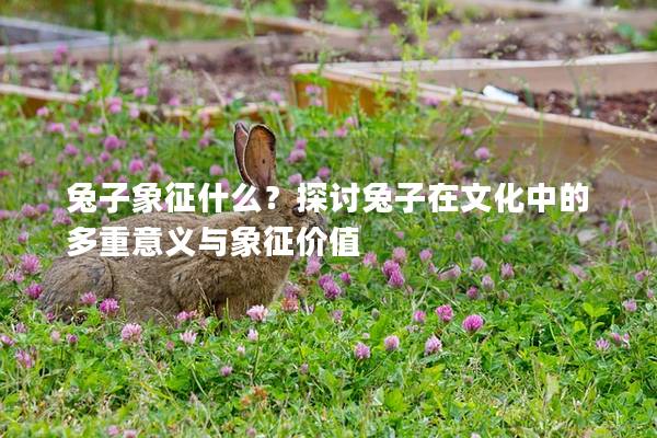 兔子象征什么？探讨兔子在文化中的多重意义与象征价值