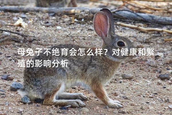 母兔子不绝育会怎么样？对健康和繁殖的影响分析