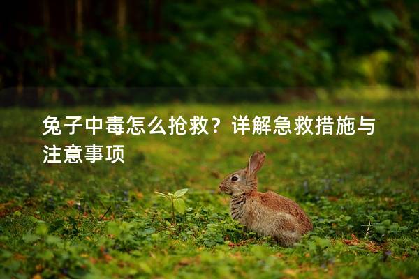 兔子中毒怎么抢救？详解急救措施与注意事项