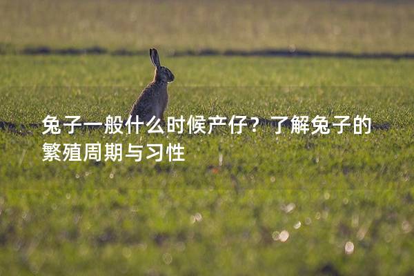 兔子一般什么时候产仔？了解兔子的繁殖周期与习性