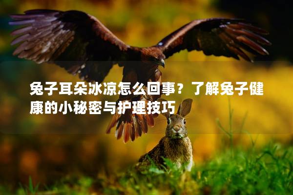 兔子耳朵冰凉怎么回事？了解兔子健康的小秘密与护理技巧