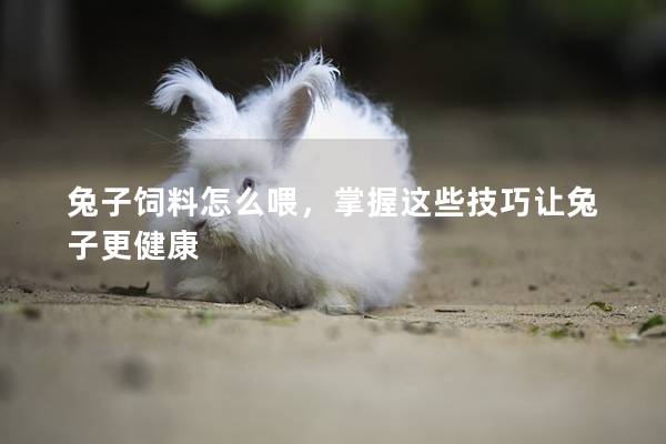 兔子饲料怎么喂，掌握这些技巧让兔子更健康