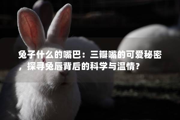 兔子什么的嘴巴：三瓣嘴的可爱秘密，探寻兔唇背后的科学与温情？