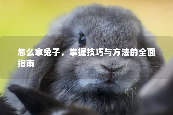 怎么拿兔子，掌握技巧与方法的全面指南