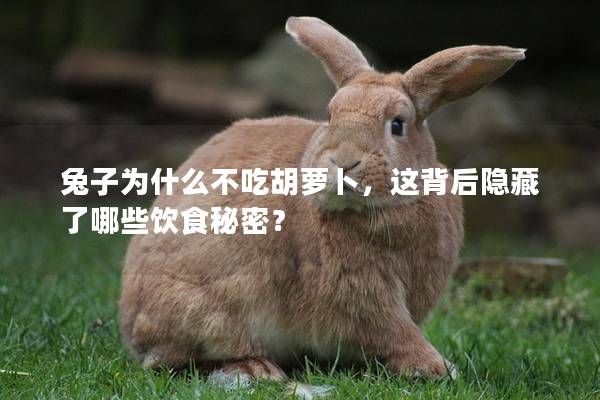 兔子为什么不吃胡萝卜，这背后隐藏了哪些饮食秘密？