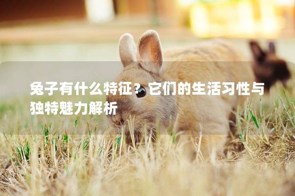 兔子有什么特征？它们的生活习性与独特魅力解析