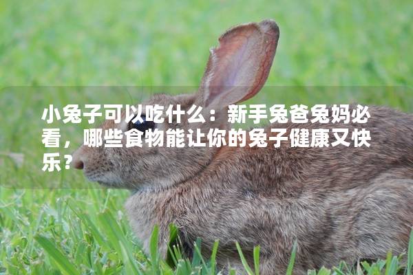 小兔子可以吃什么：新手兔爸兔妈必看，哪些食物能让你的兔子健康又快乐？