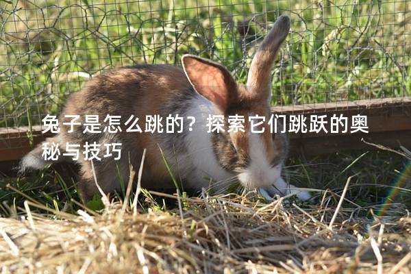 兔子是怎么跳的？探索它们跳跃的奥秘与技巧
