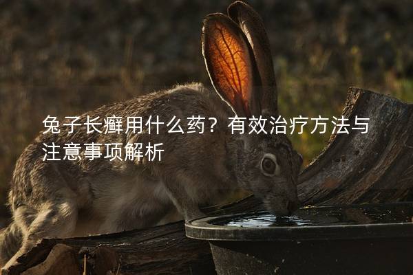兔子长癣用什么药？有效治疗方法与注意事项解析