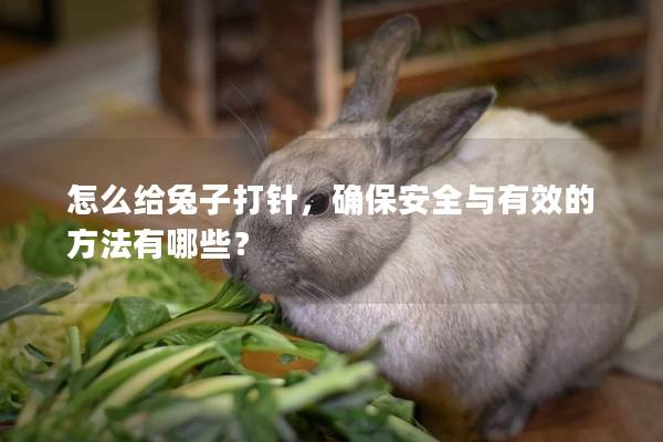 怎么给兔子打针，确保安全与有效的方法有哪些？