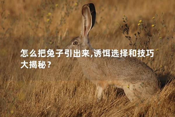 怎么把兔子引出来,诱饵选择和技巧大揭秘？