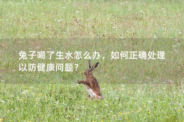 兔子喝了生水怎么办，如何正确处理以防健康问题？