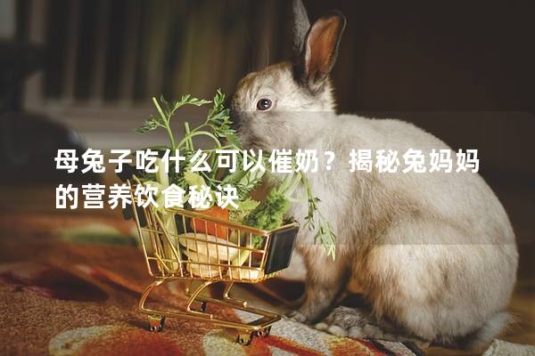母兔子吃什么可以催奶？揭秘兔妈妈的营养饮食秘诀
