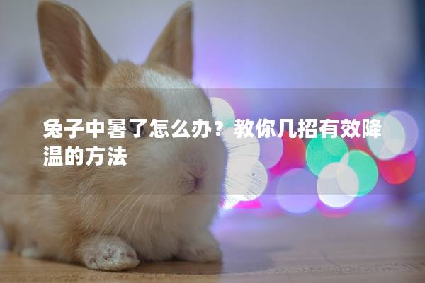 兔子中暑了怎么办？教你几招有效降温的方法