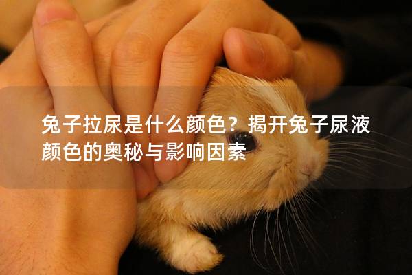 兔子拉尿是什么颜色？揭开兔子尿液颜色的奥秘与影响因素