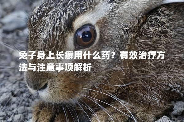 兔子身上长癣用什么药？有效治疗方法与注意事项解析