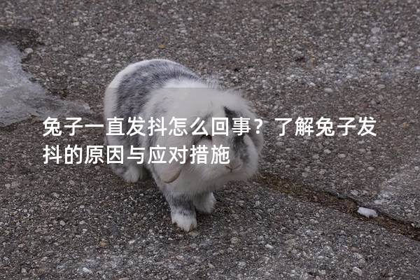 兔子一直发抖怎么回事？了解兔子发抖的原因与应对措施