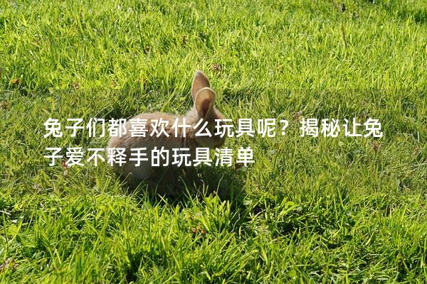 兔子们都喜欢什么玩具呢？揭秘让兔子爱不释手的玩具清单