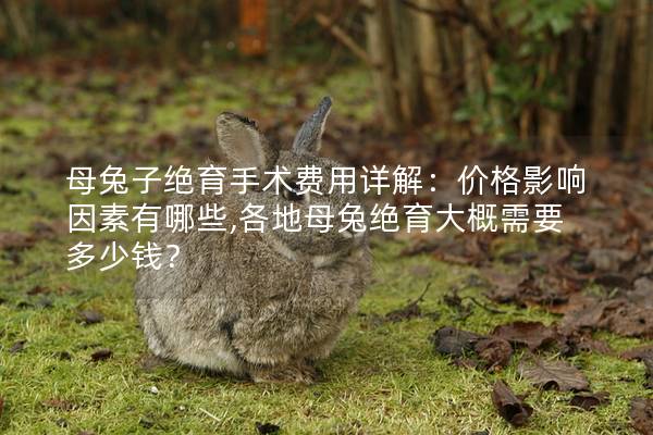 母兔子绝育手术费用详解：价格影响因素有哪些,各地母兔绝育大概需要多少钱？
