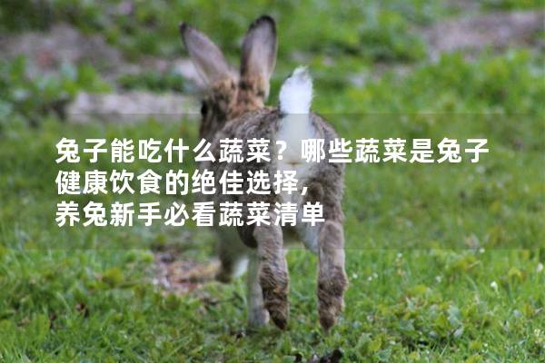 兔子能吃什么蔬菜？哪些蔬菜是兔子健康饮食的绝佳选择, 养兔新手必看蔬菜清单