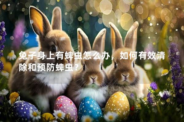 兔子身上有蜱虫怎么办，如何有效清除和预防蜱虫？