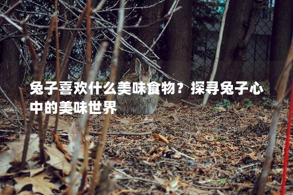 兔子喜欢什么美味食物？探寻兔子心中的美味世界