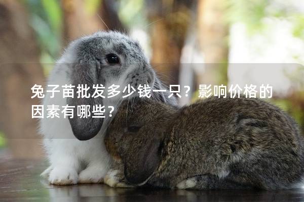 兔子苗批发多少钱一只？影响价格的因素有哪些？