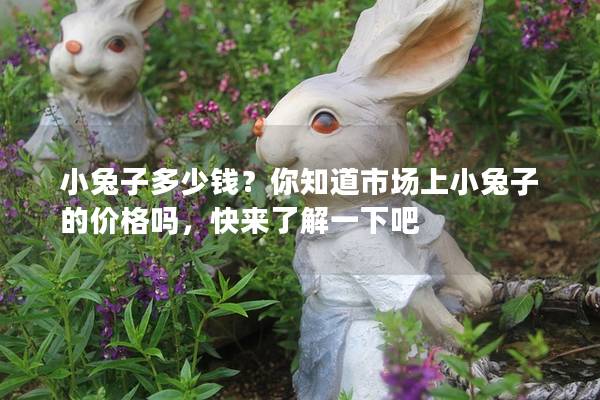 小兔子多少钱？你知道市场上小兔子的价格吗，快来了解一下吧