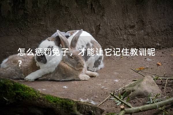 怎么惩罚兔子，才能让它记住教训呢？