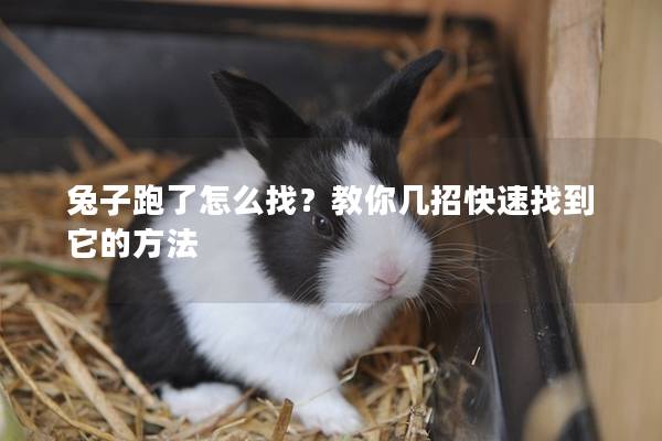 兔子跑了怎么找？教你几招快速找到它的方法