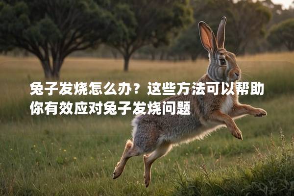 兔子发烧怎么办？这些方法可以帮助你有效应对兔子发烧问题