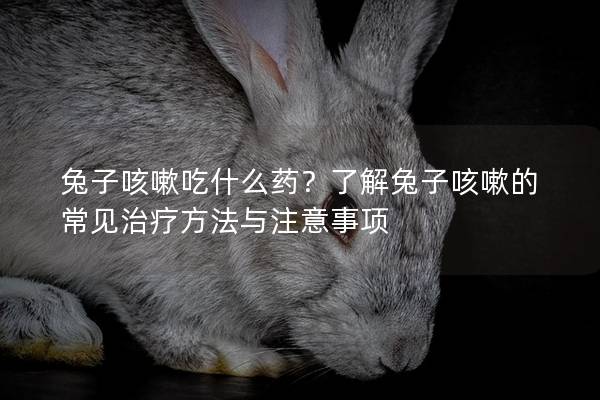 兔子咳嗽吃什么药？了解兔子咳嗽的常见治疗方法与注意事项